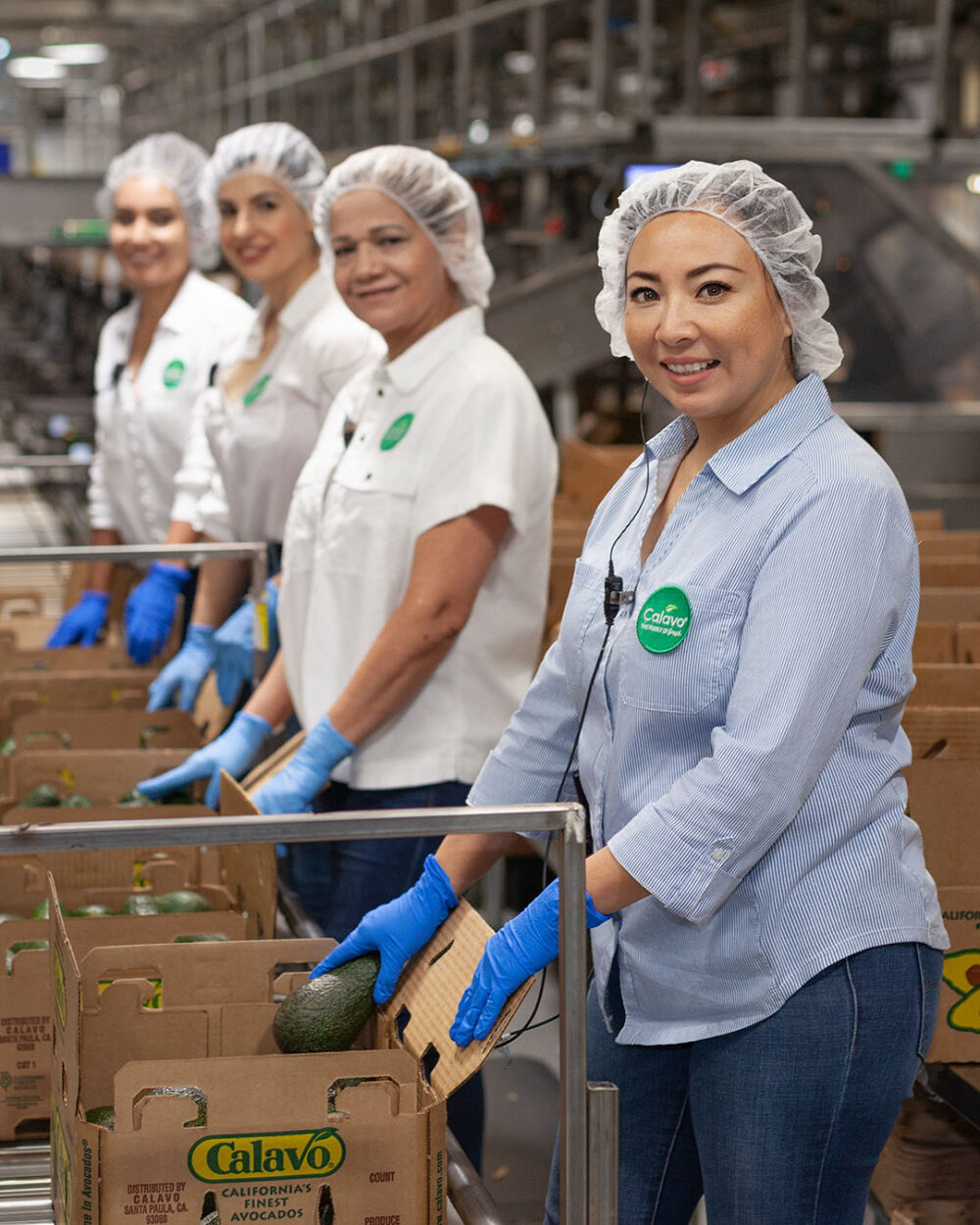 Lifestyle photoshoot of workers in Calavo avocado factory.