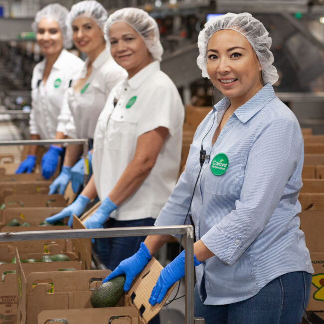 Lifestyle photoshoot of workers in Calavo avocado factory.